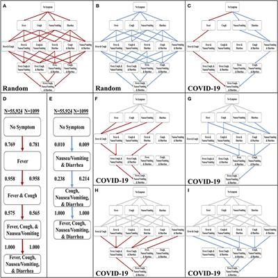 Frontiers | Modeling The Onset Of Symptoms Of COVID-19